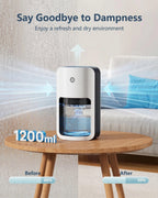 avylo Small Dehumidifier for Bedroom,162 Sq.Ft 42oz with Auto Shut Off