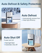 avylo Small Dehumidifier for Bedroom,162 Sq.Ft 42oz with Auto Shut Off